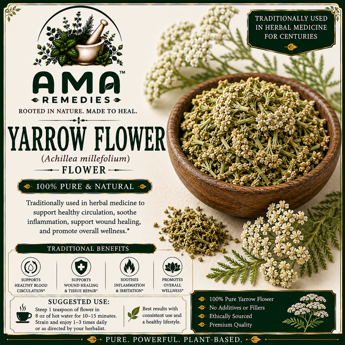 Yarrow Flower (Achillea millefolium)