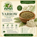 Yarrow (Achillea millefolium) — Dried Herb