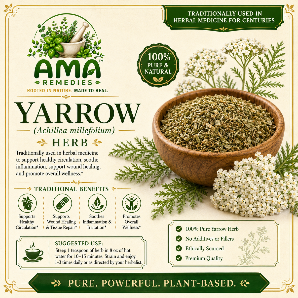 Yarrow (Achillea millefolium) — Dried Herb