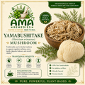 Yamabushitake (Hericium erinaceus) — Dried Mushroom