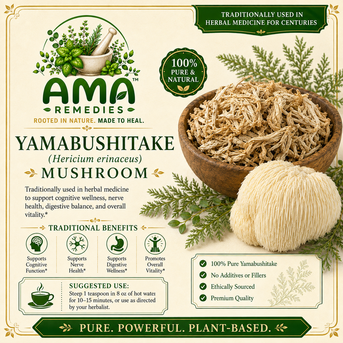 Yamabushitake (Hericium erinaceus) — Dried Mushroom