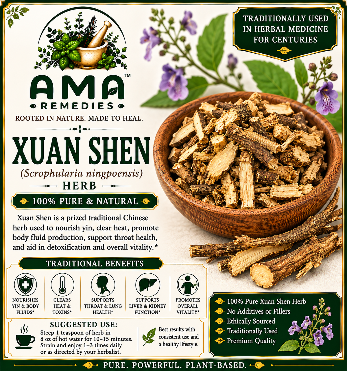 Xuan Shen (Scrophularia ningpoensis)
