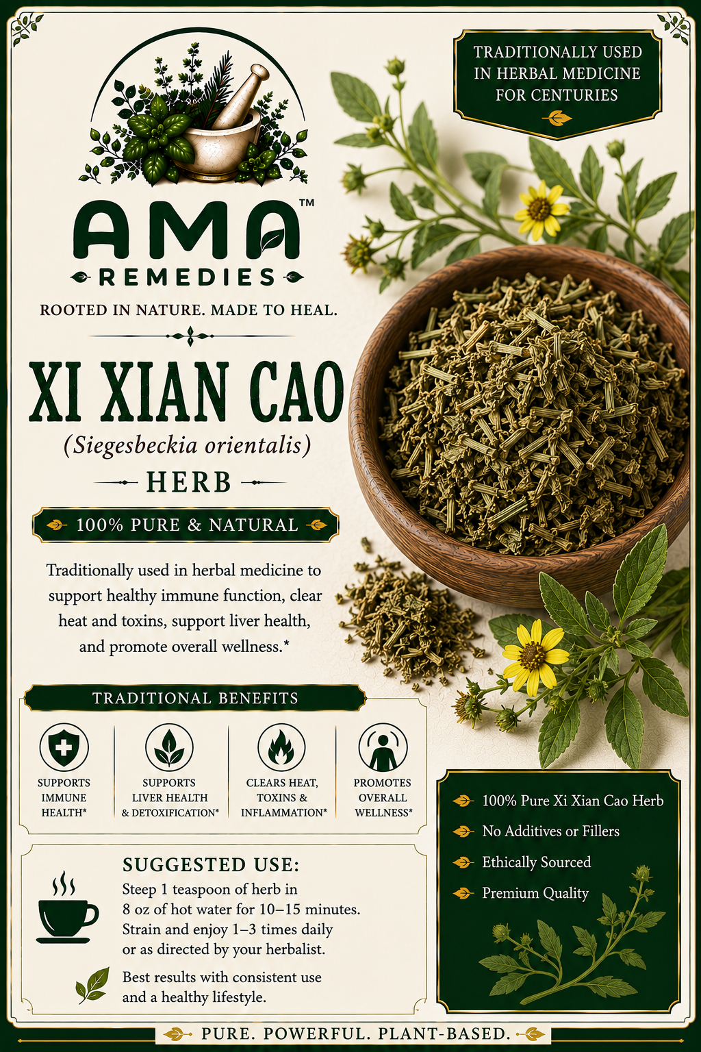 Xi Xian Cao (Siegesbeckia orientalis)