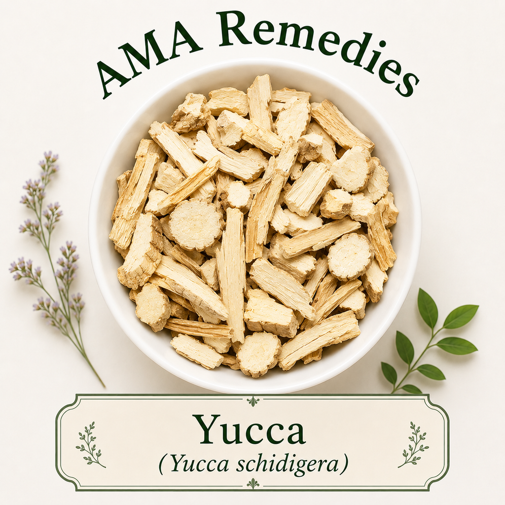 Yucca (Yucca schidigera)