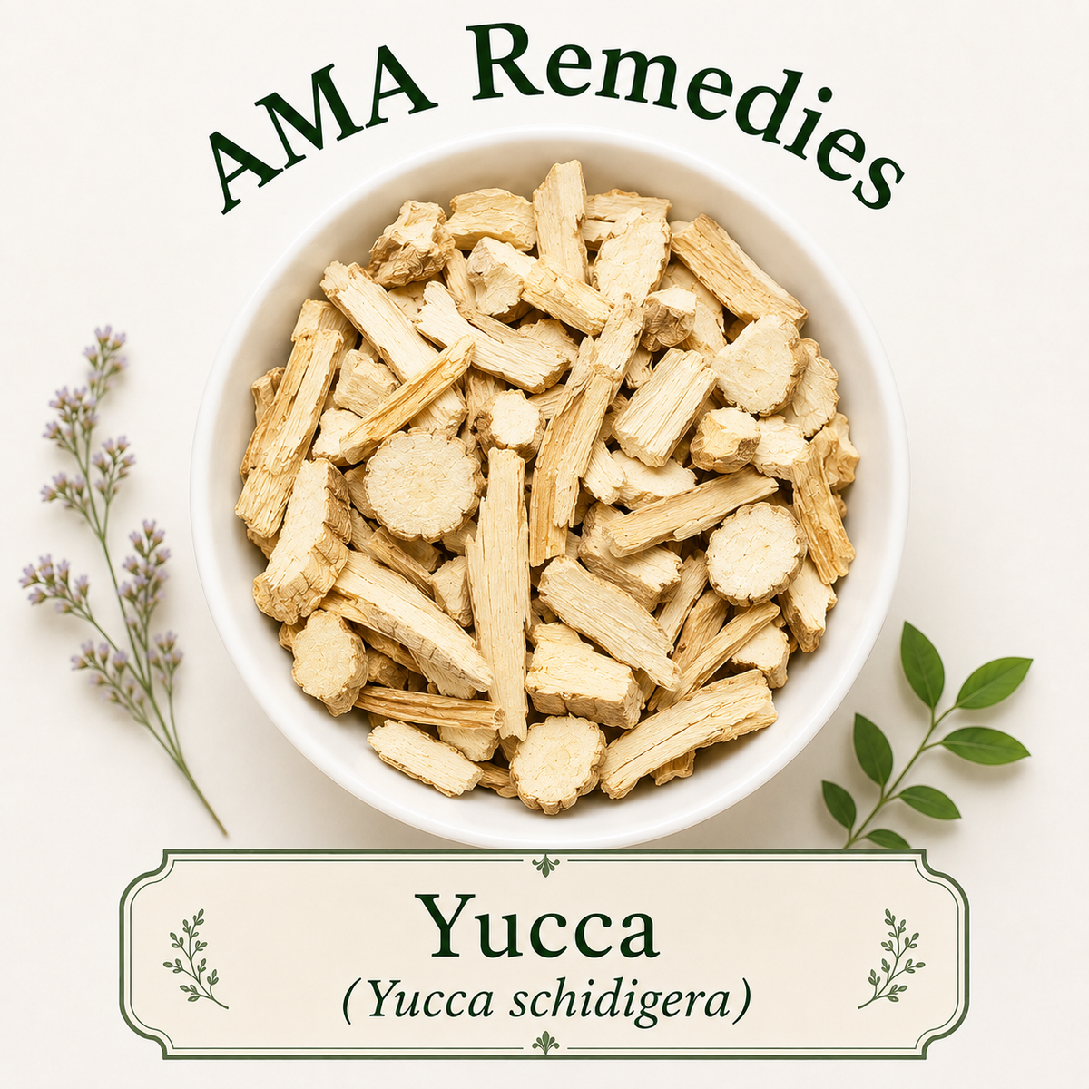 Yucca (Yucca schidigera)