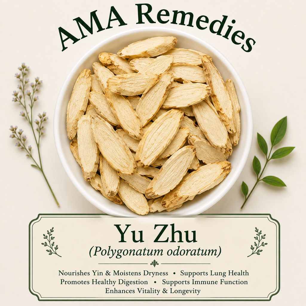 Yu Zhu (Polygonatum odoratum) — Dried Rhizome