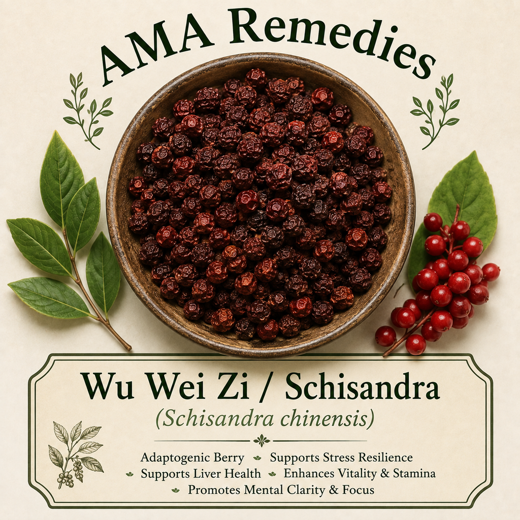 Wu Wei Zi / Schisandra (Schisandra chinensis)