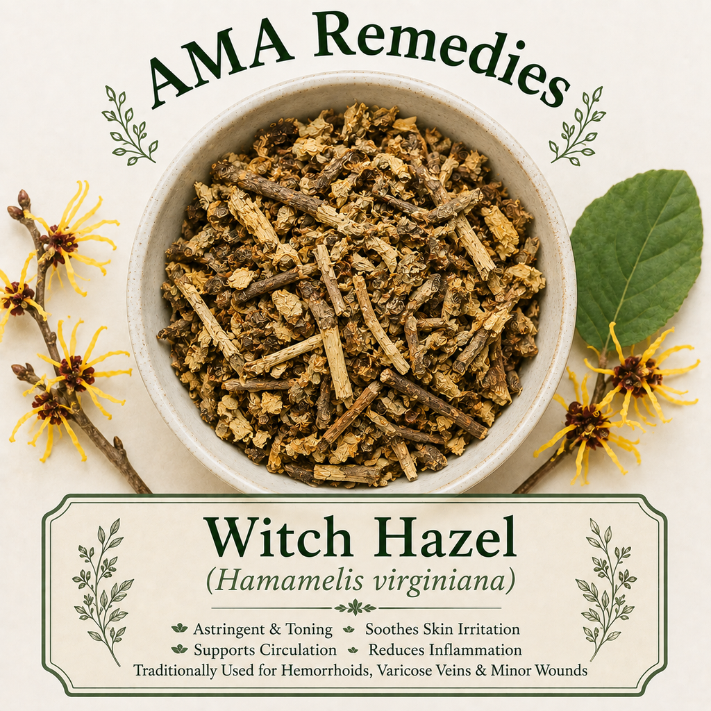 Witch Hazel (Hamamelis virginiana)