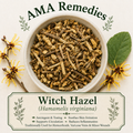 Witch Hazel (Hamamelis virginiana)