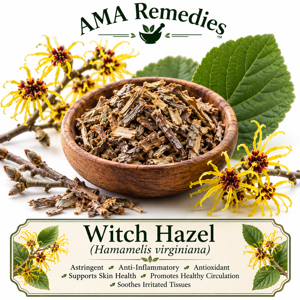 Witch Hazel (Hamamelis virginiana)