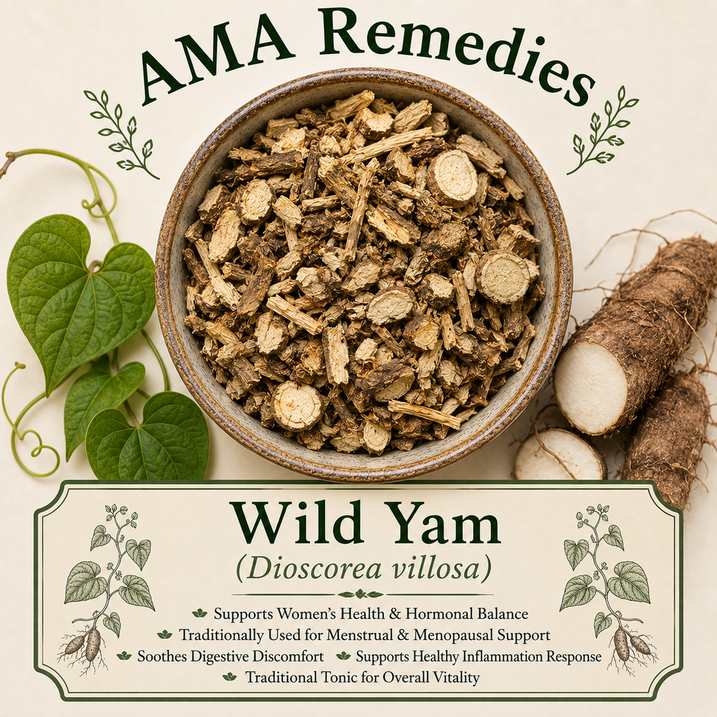 Wild Yam (Dioscorea villosa) — Dried Rhizome