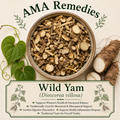 Wild Yam (Dioscorea villosa) — Dried Rhizome