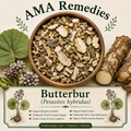 Butterbur (Petasites hybridus)