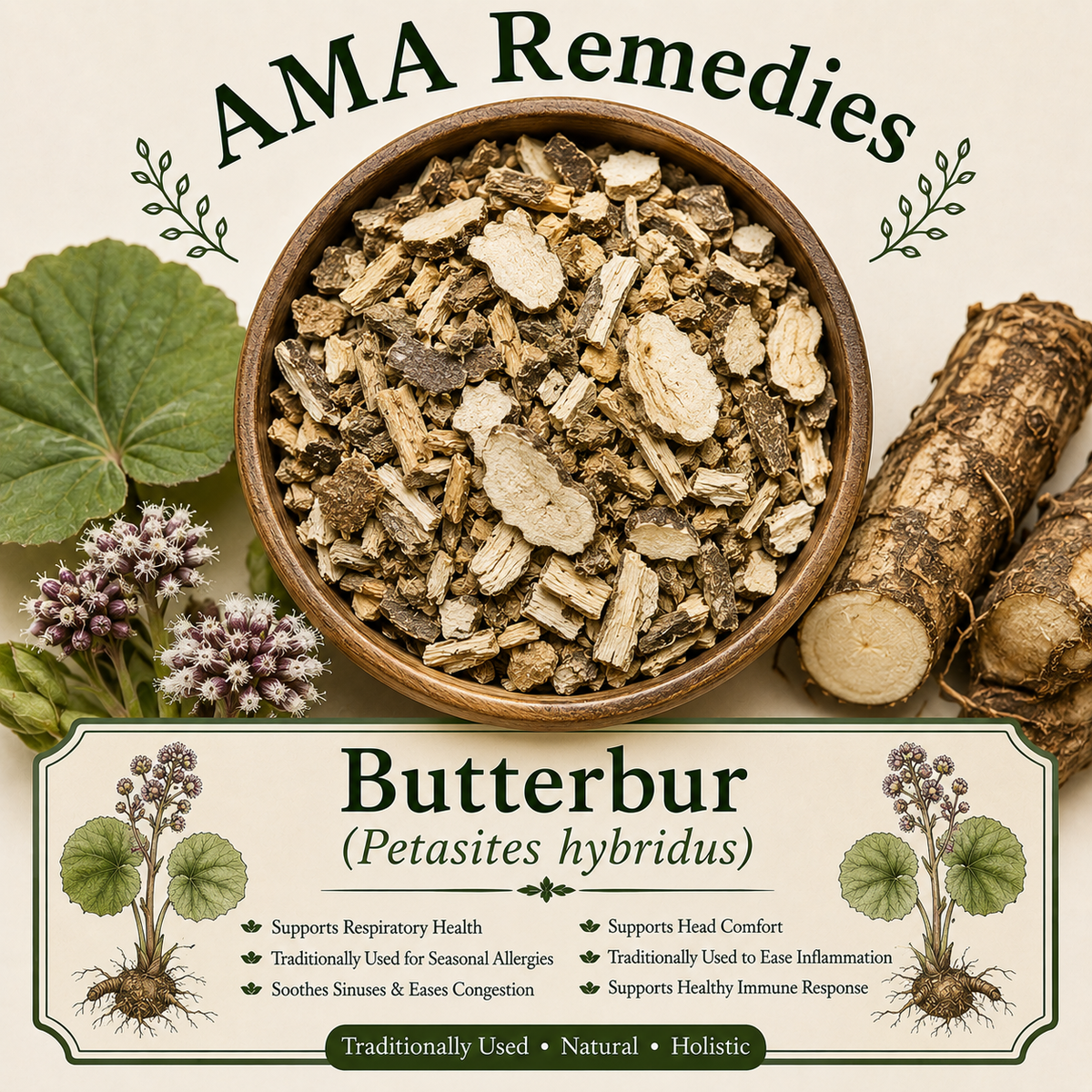 Butterbur (Petasites hybridus)