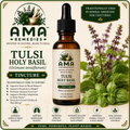 Tulsi / Holy Basil Tincture