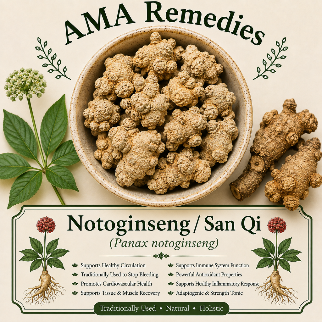 Notoginseng / San Qi (Panax notoginseng)