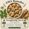 Notoginseng / San Qi (Panax notoginseng)