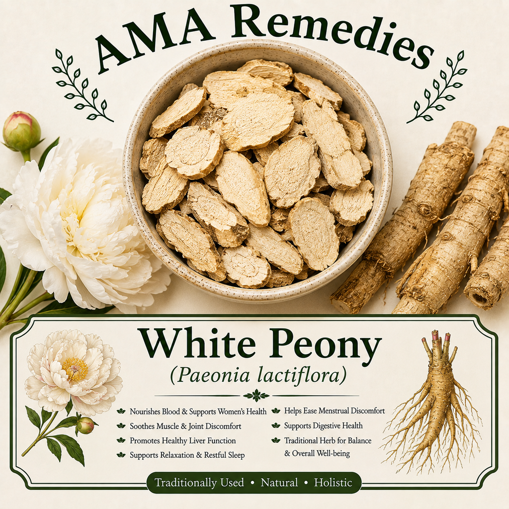 White Peony (Paeonia lactiflora)