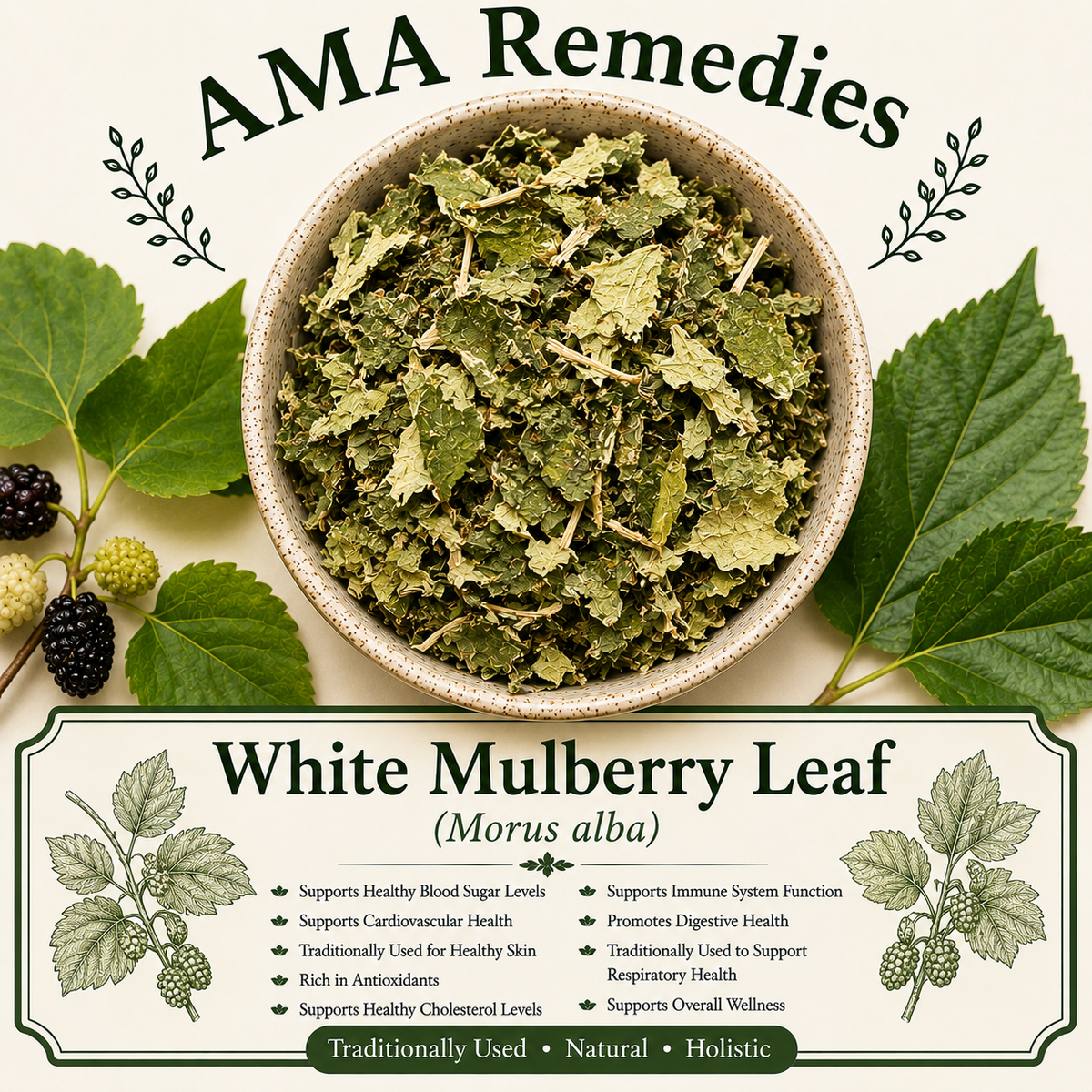 White Mulberry Leaf (Morus alba)