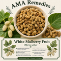 White Mulberry Fruit (Morus alba)
