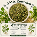 Watercress (Nasturtium officinale) — Dried Herb