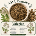 Valerian (Valeriana officinalis) — Dried Root