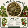 Uva Ursi (Arctostaphylos uva-ursi) — Dried Leaves