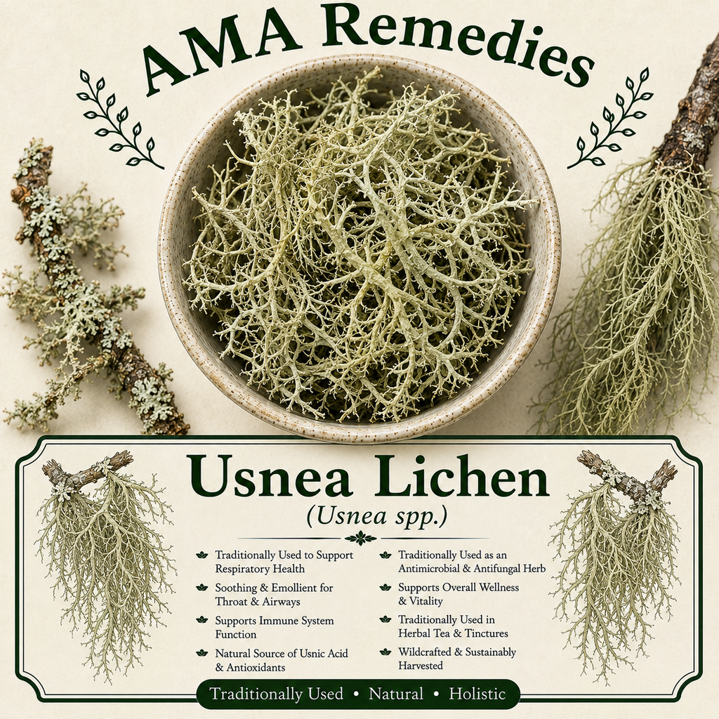 Usnea Lichen (Usnea spp.)