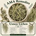 Usnea Lichen (Usnea spp.)