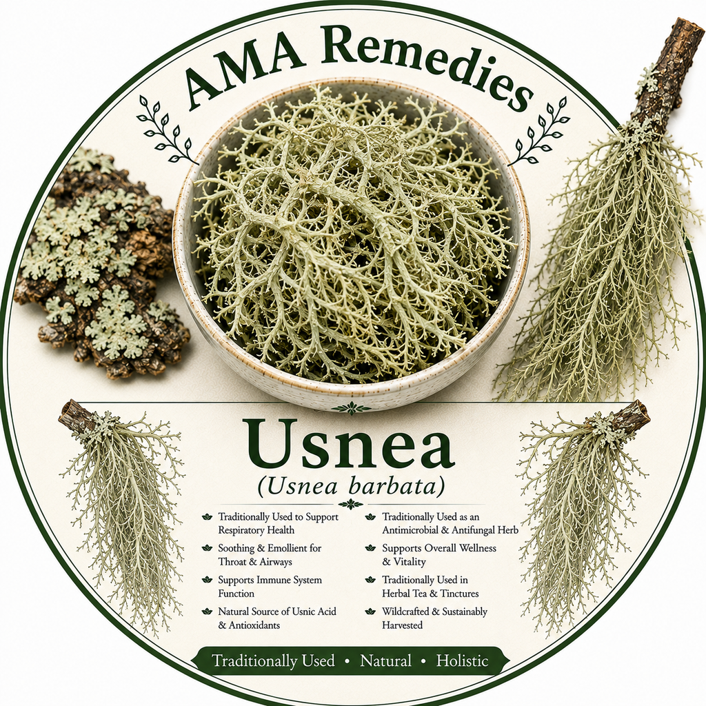 Usnea (Usnea barbata) — Dried Lichen