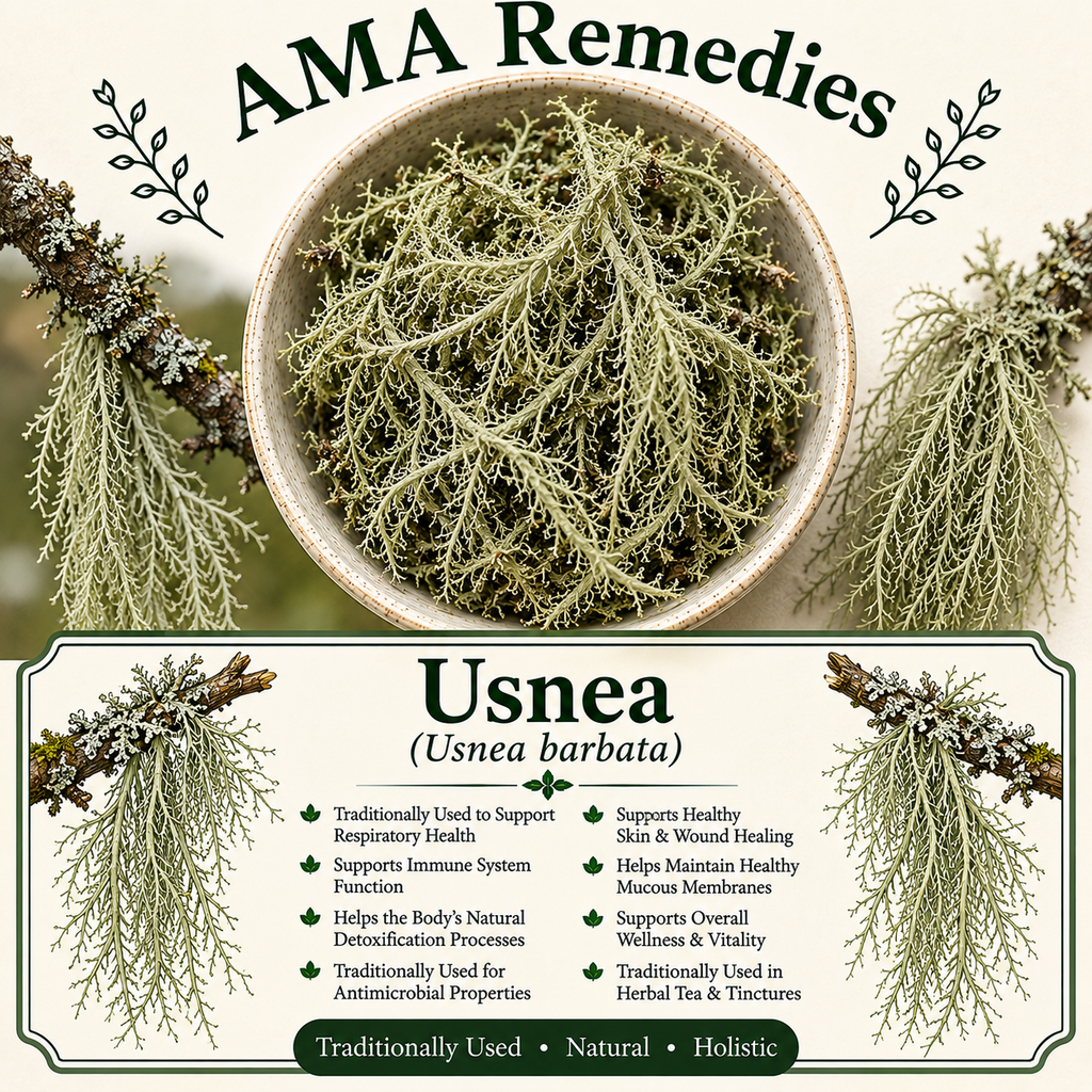 Usnea (Usnea barbata) — Dried Lichen