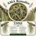 Usnea (Usnea barbata) — Dried Lichen