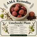 Umeboshi Plum (Prunus mume)