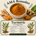 Turmeric (Curcuma longa) — Dried Rhizome
