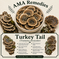 Turkey Tail (Trametes versicolor) — Dried Mushroom