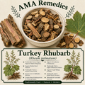 Turkey Rhubarb (Rheum palmatum) — Dried Rhizome and Root