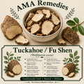 Tuckahoe / Fu Shen (Wolfiporia cocos)
