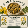 Tronadora (Tecoma stans)
