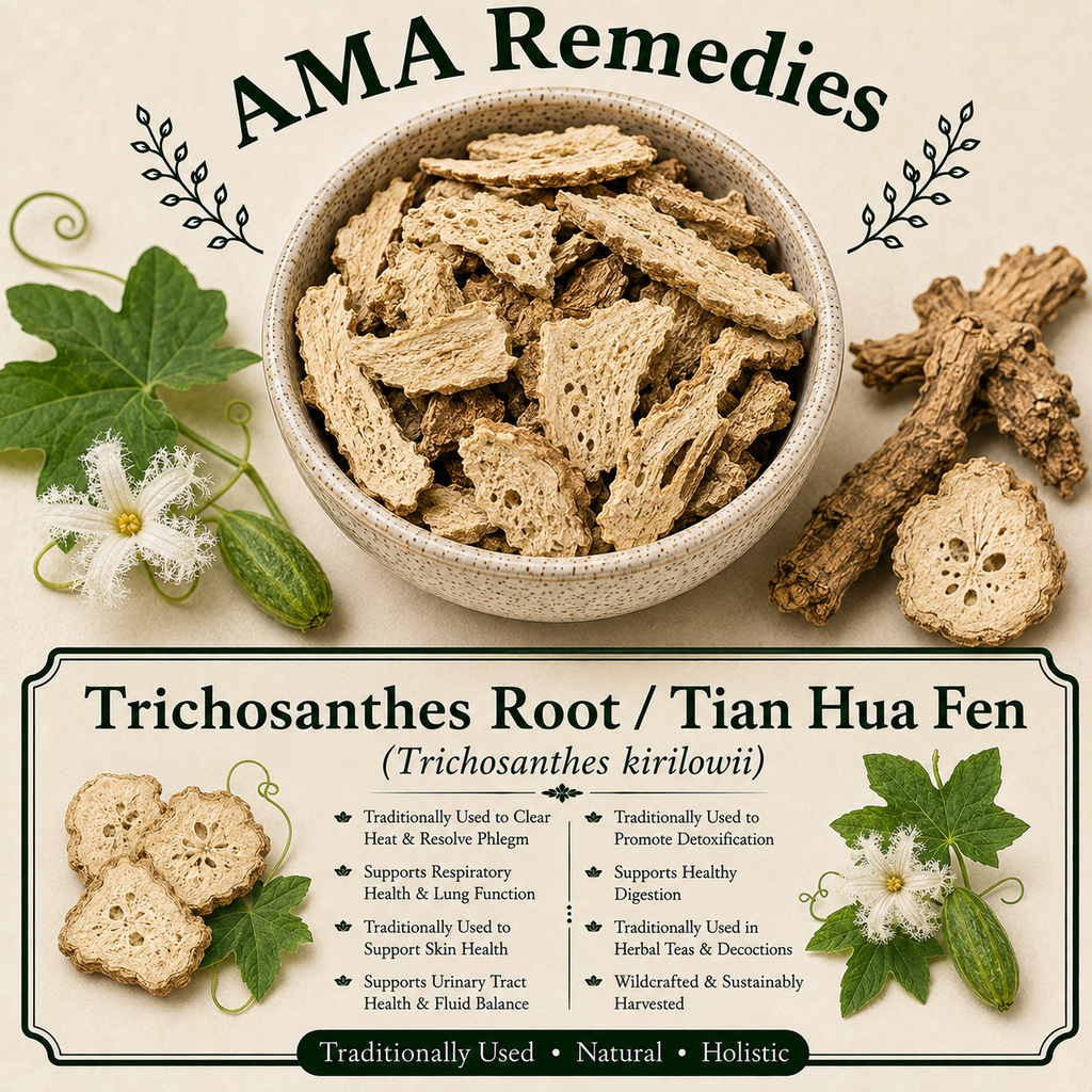 Trichosanthes Root / Tian Hua Fen (Trichosanthes kirilowii)