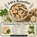 Trichosanthes Root / Tian Hua Fen (Trichosanthes kirilowii)