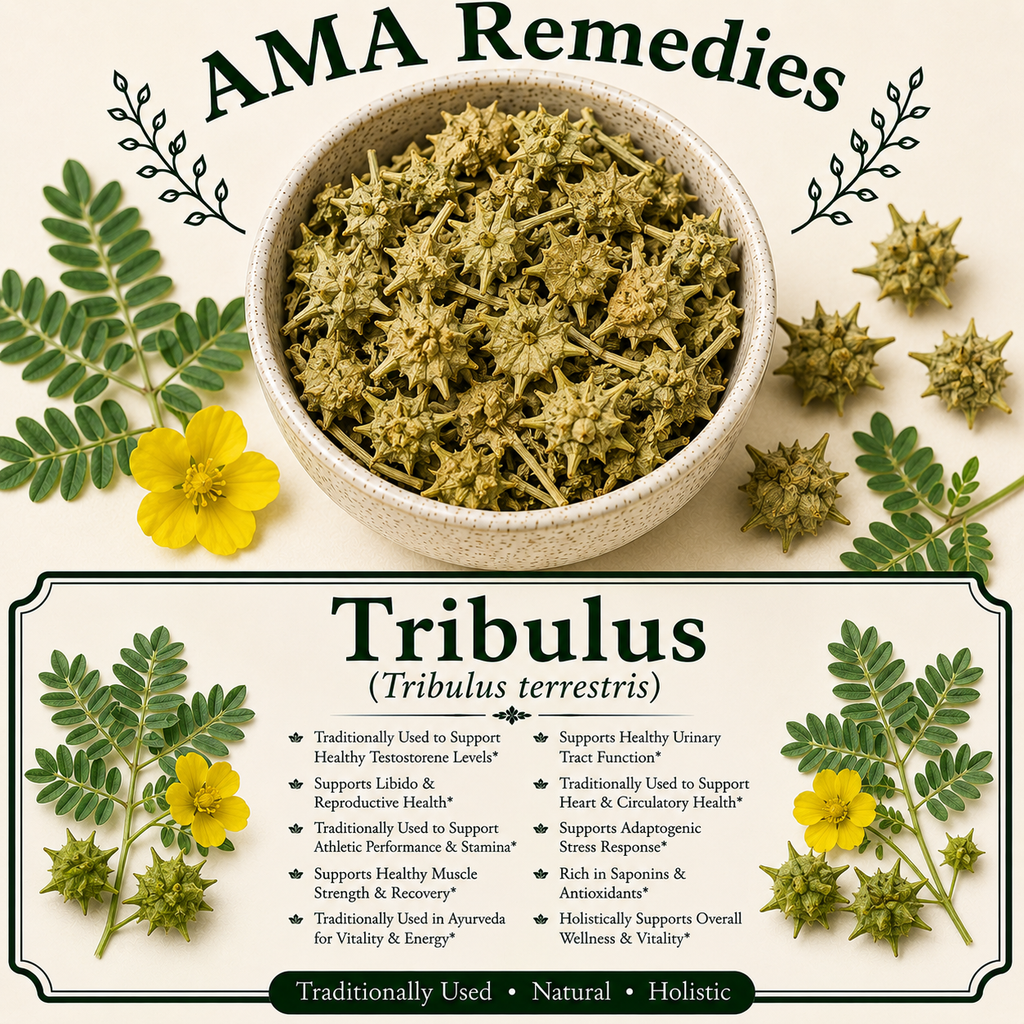 Tribulus (Tribulus terrestris)