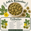 Tribulus (Tribulus terrestris)