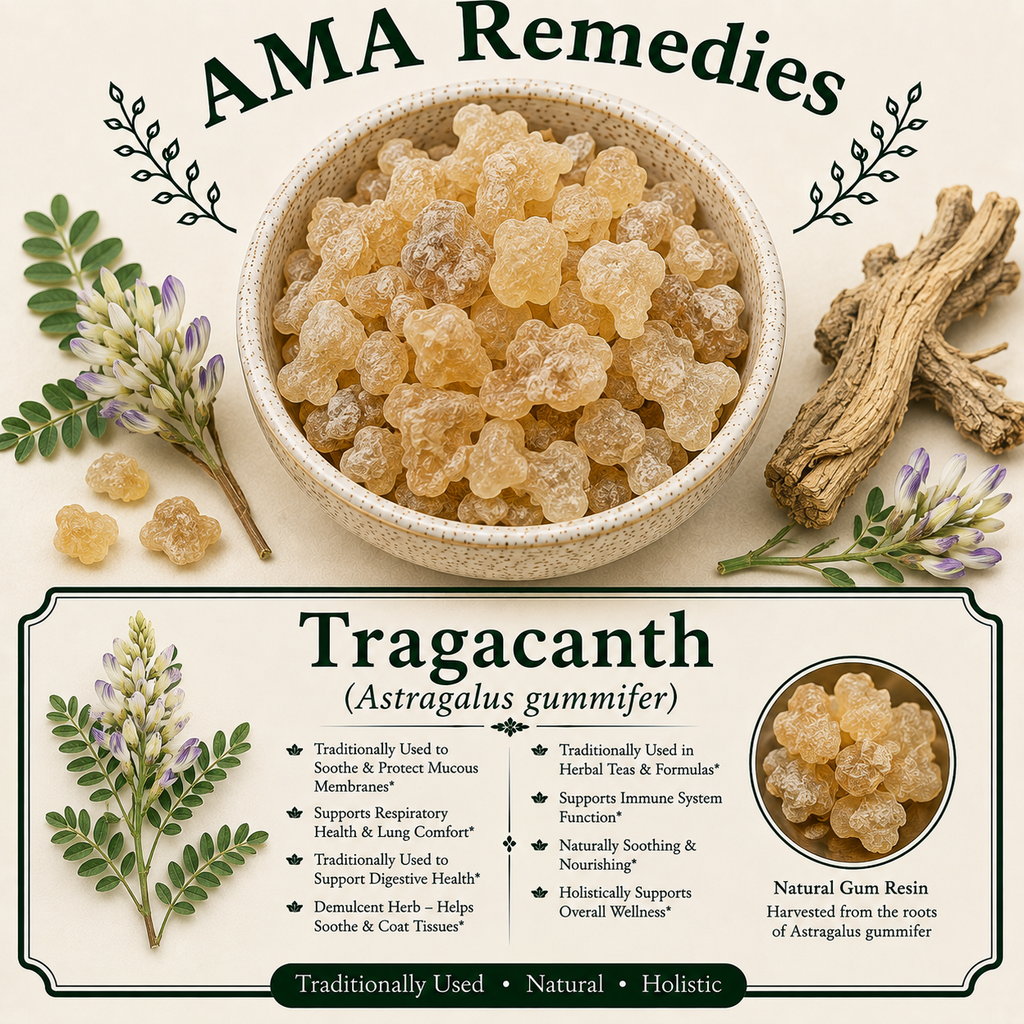 Tragacanth (Astragalus gummifer) — Dried Gum