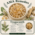 Tragacanth (Astragalus gummifer) — Dried Gum