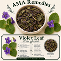 Violet Leaf (Viola odorata)