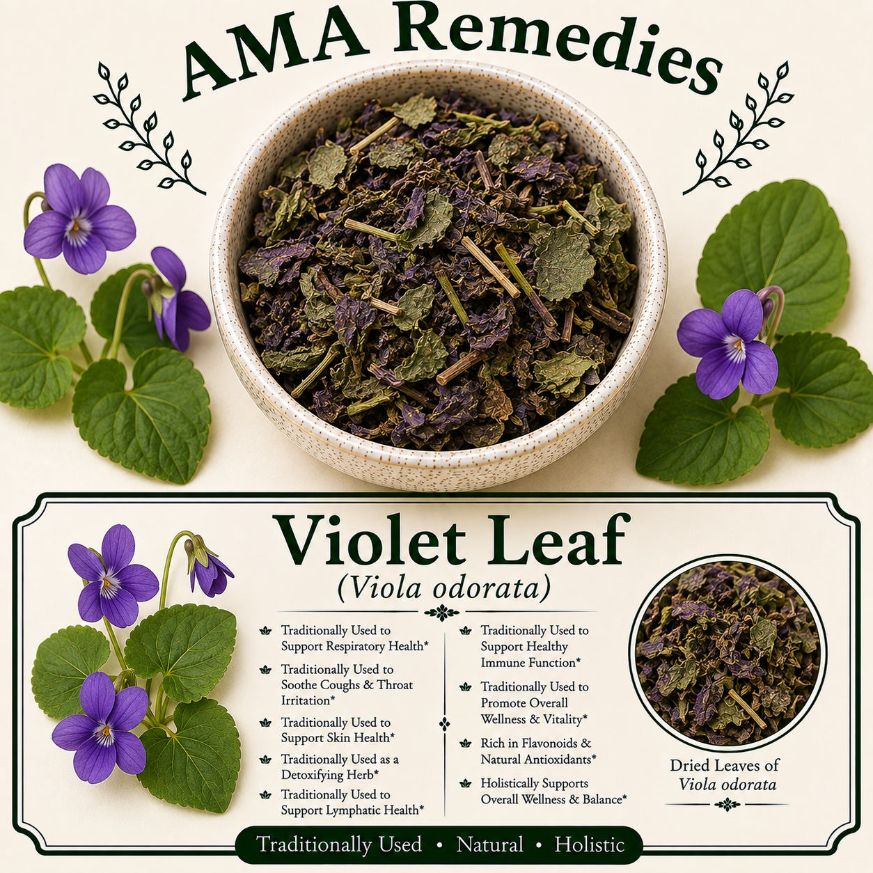 Violet Leaf (Viola odorata)
