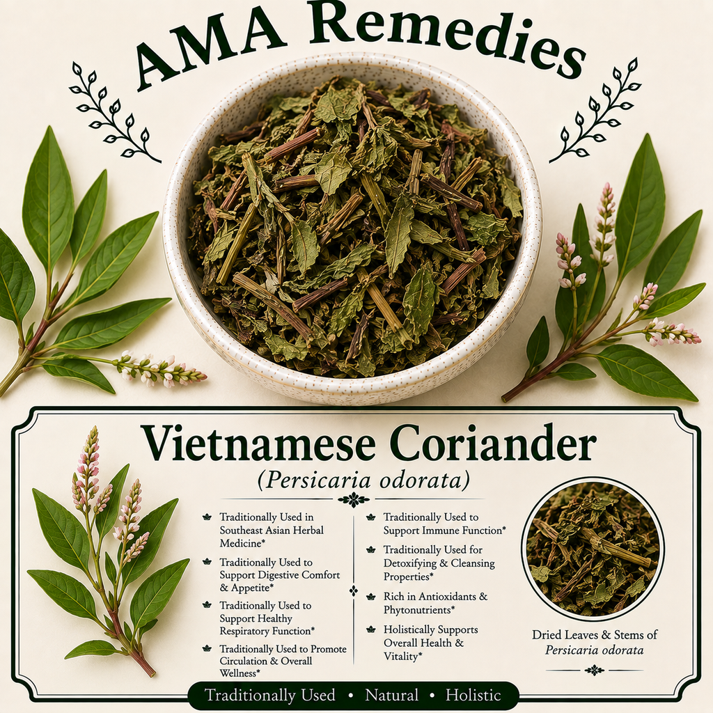 Vietnamese Coriander (Persicaria odorata)