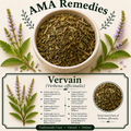 Vervain (Verbena officinalis) — Dried Herb