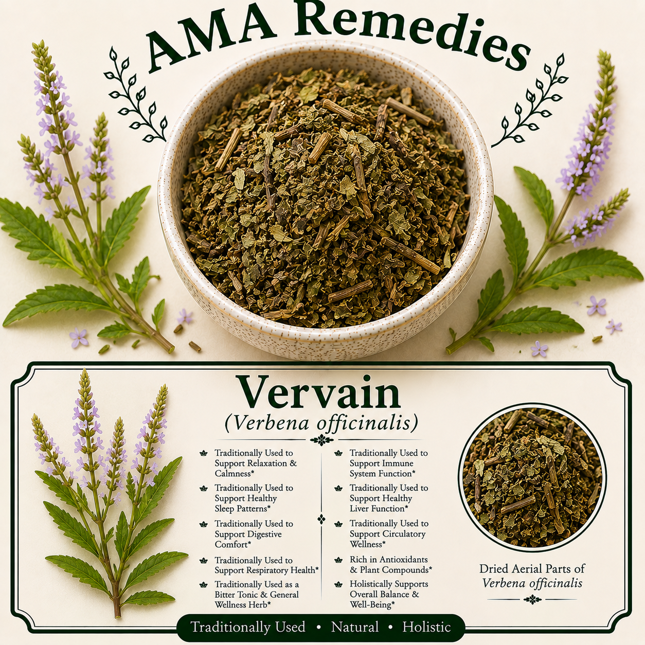 Vervain (Verbena officinalis)