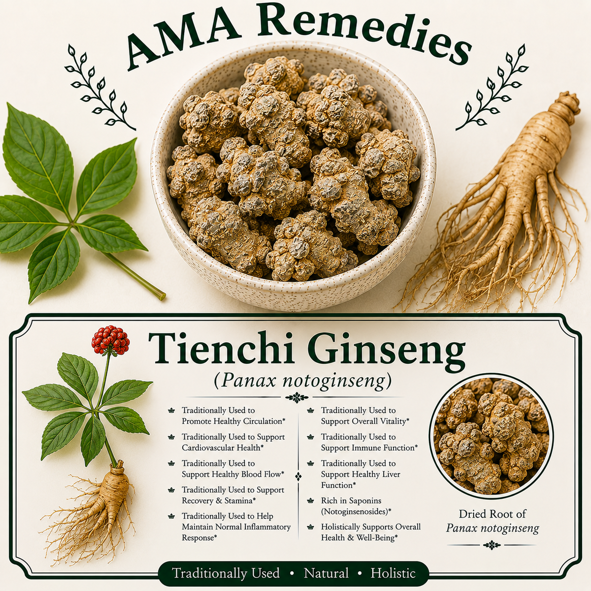 Tienchi Ginseng (Panax notoginseng)